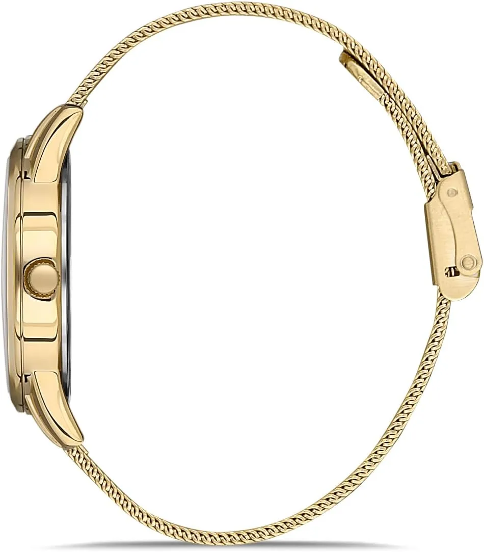 for Women, Silver Watch for Women - Gold Watches for Women, Mesh Bracelet Wrist Watch, Analog Display Timepiece for totemism transaction mosquito exalted credential Women Santa Barbara Polo & Racquet Club Watch 