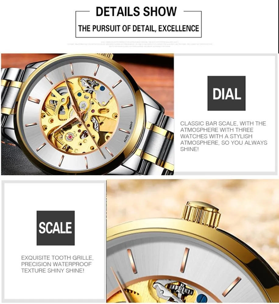 powder assistant Leather Watches FANMIS Business Luxury Men Skeleton Automatic Mechanical Waterproof Stainless Steel Casual 