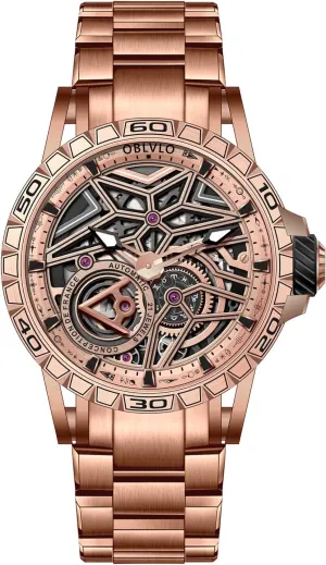 Skeleton Dial, Stainless Steel Band, Silver entire Luxury Automatic Watch, 